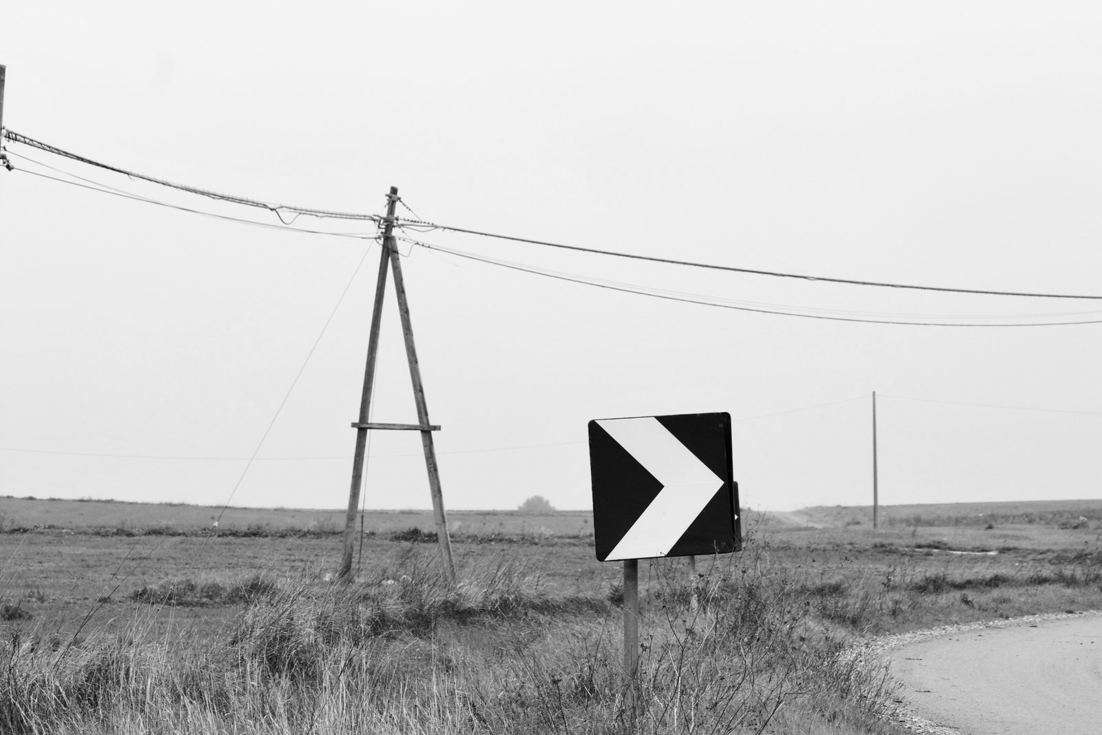 A chevron road sign and a leaning utility pole in open countryside, in black and white.