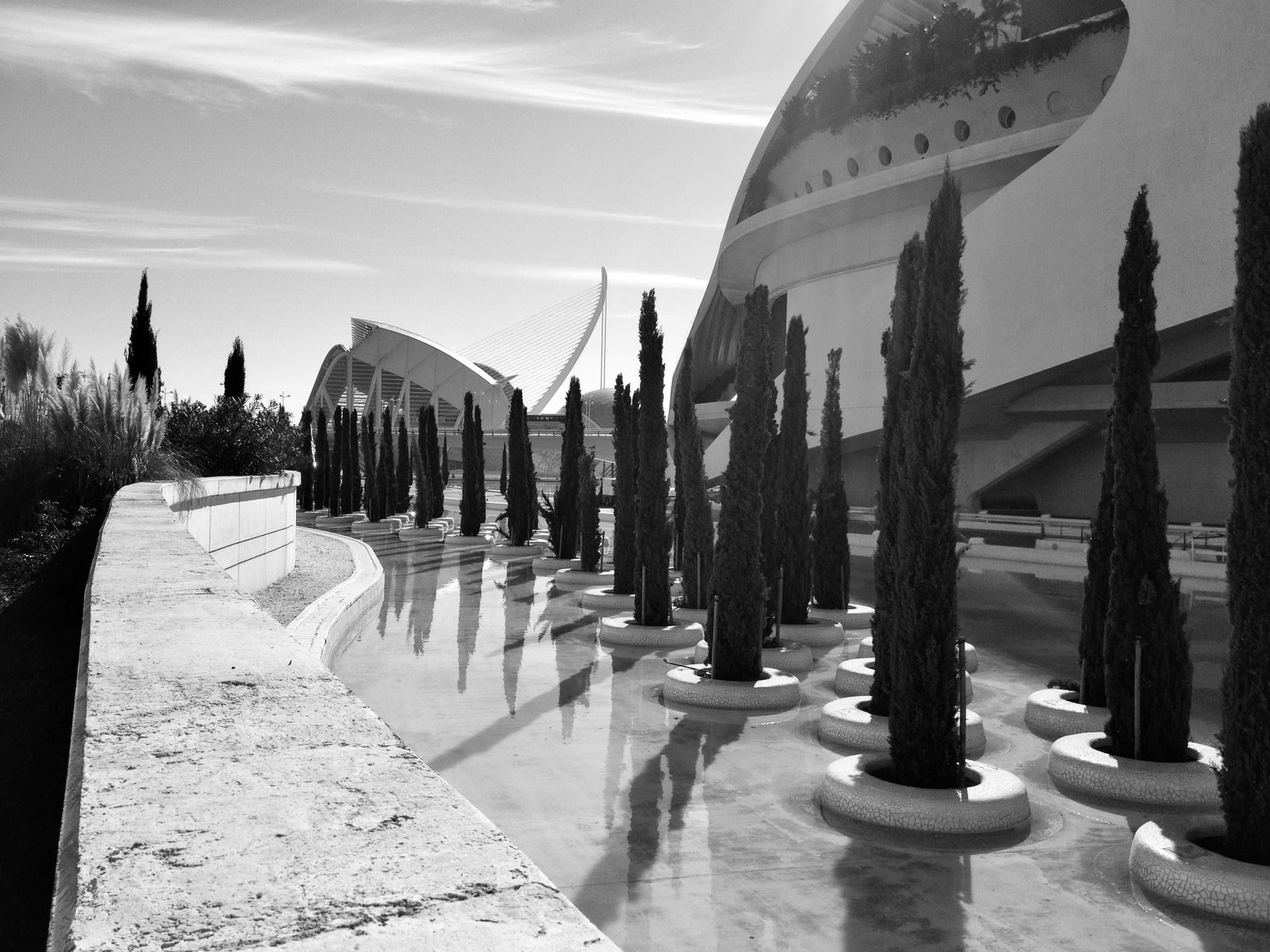 An avenue of cypresses beside a modern white colonnade, in black and white.