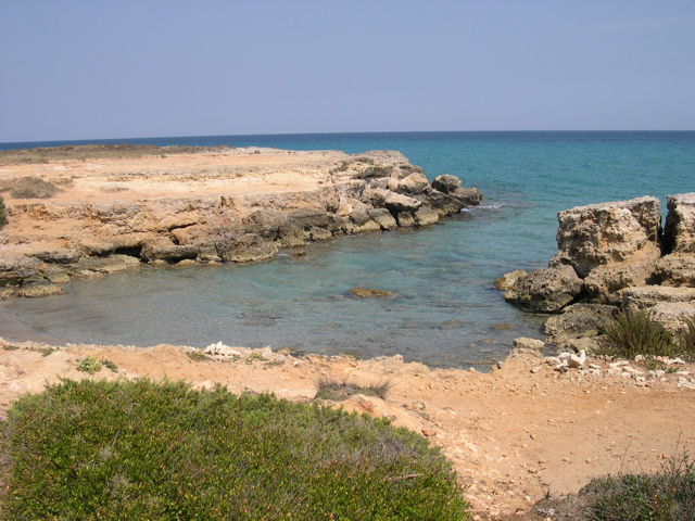 DSCN1312.JPG