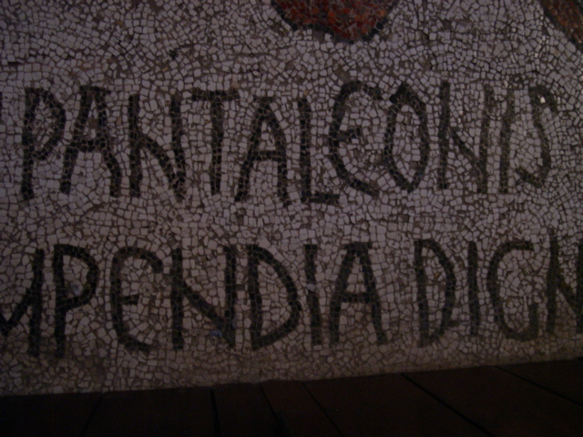 DSCN1356.JPG