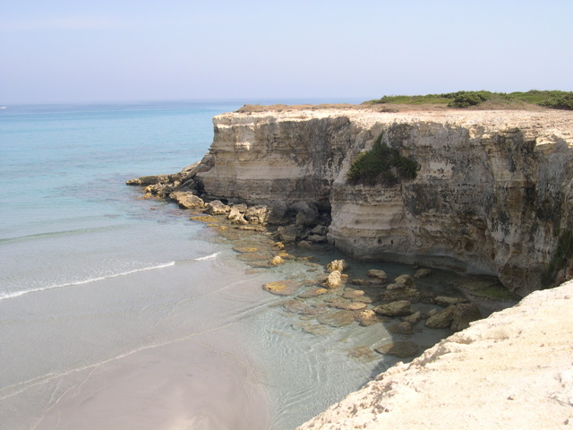 DSCN1461.JPG