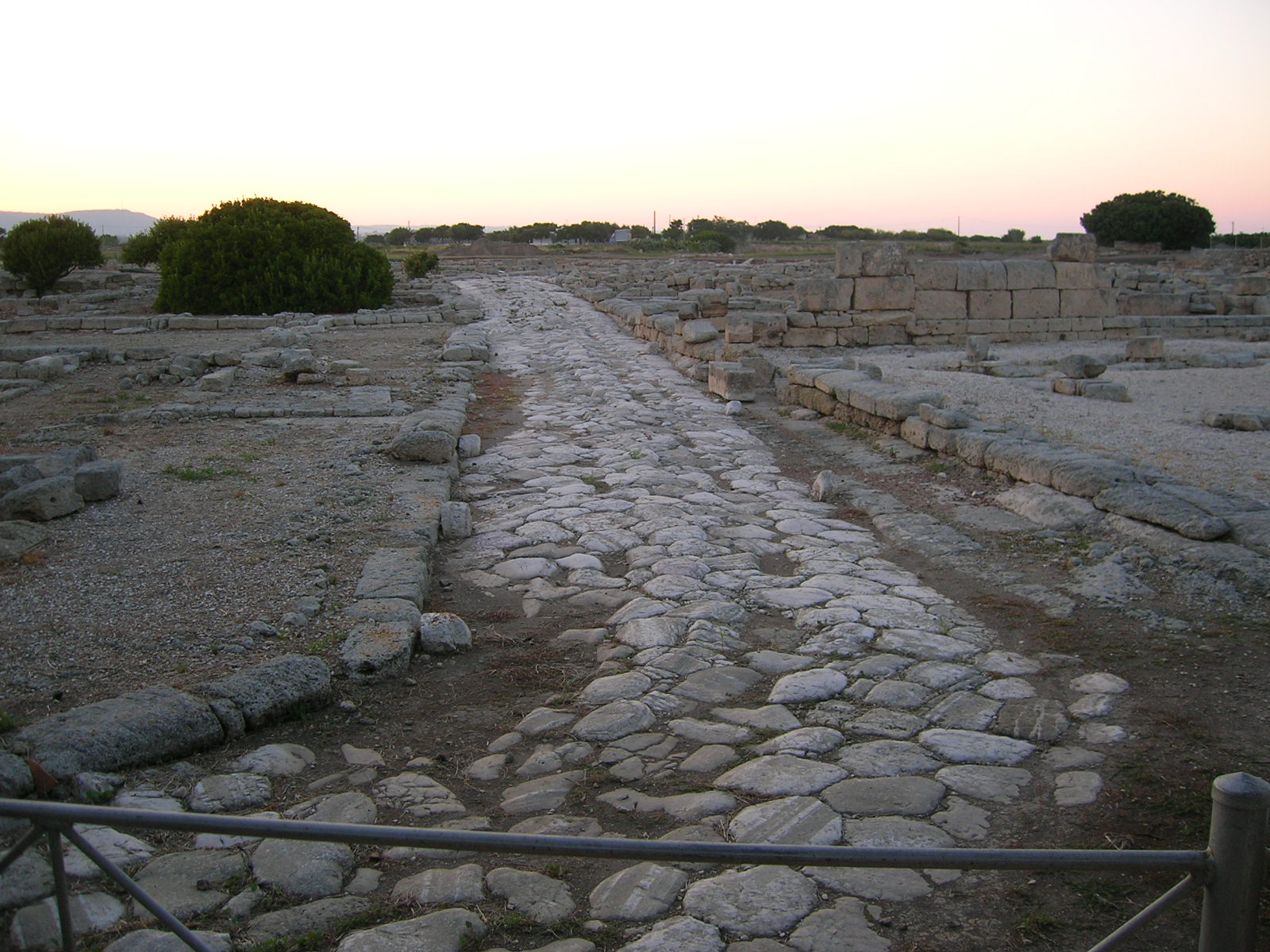 SMFT2006063