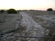SMFT2006063