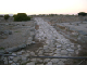 SMFT2006064