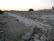 SMFT2006066