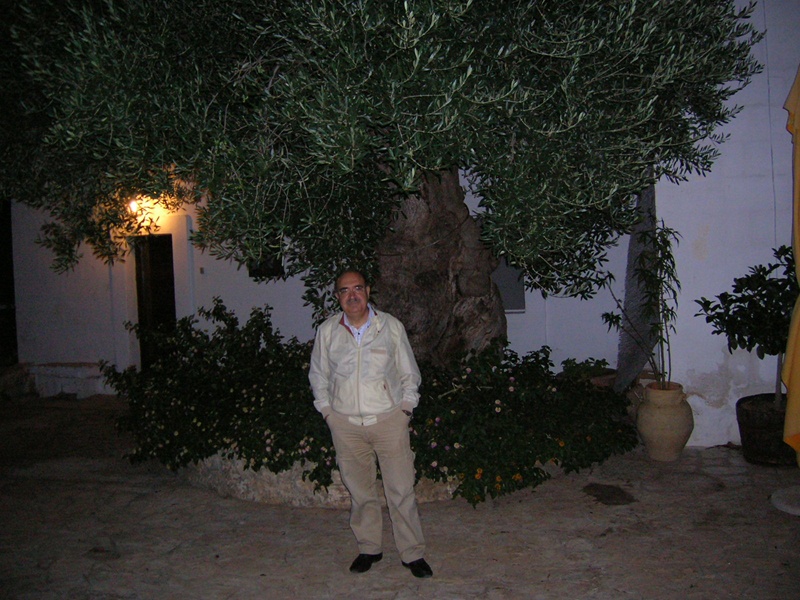 SMFT2006067